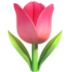 🌷